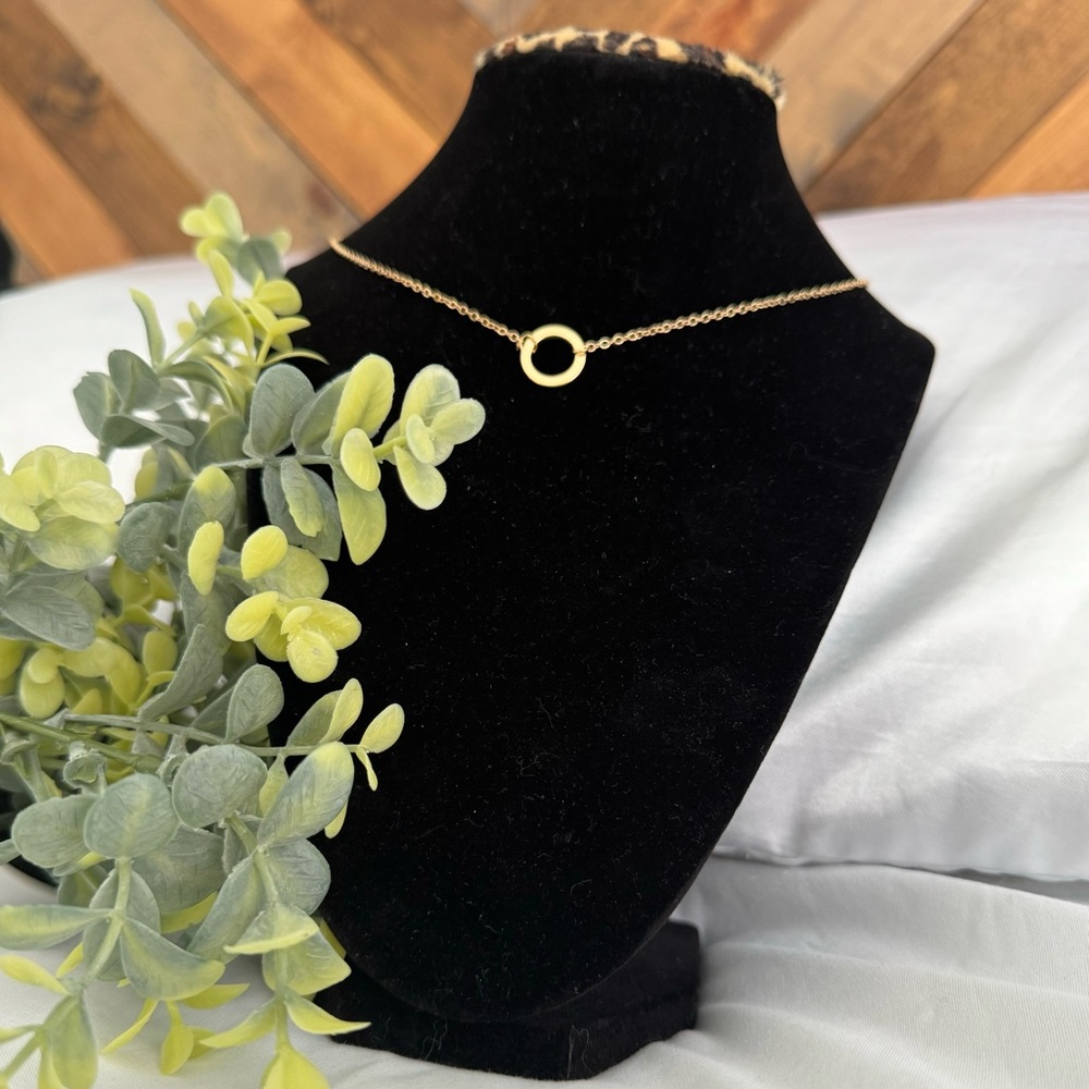 Golden Embrace Circle Necklace